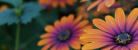 Hero section illustration